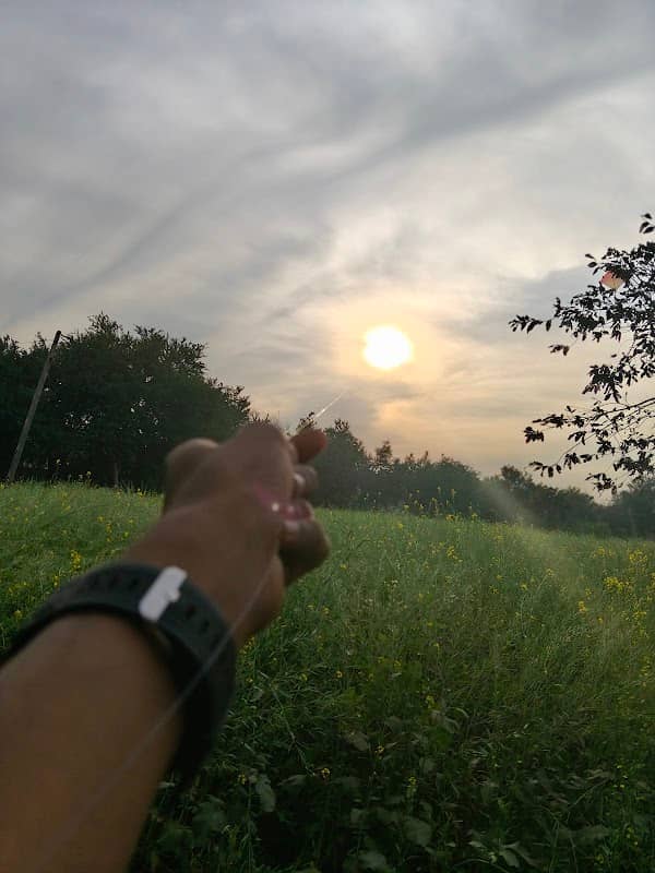 palaj sat ordi - Image 1