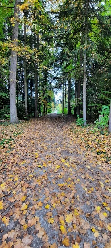 Cabane De Bouleyres - Image 2
