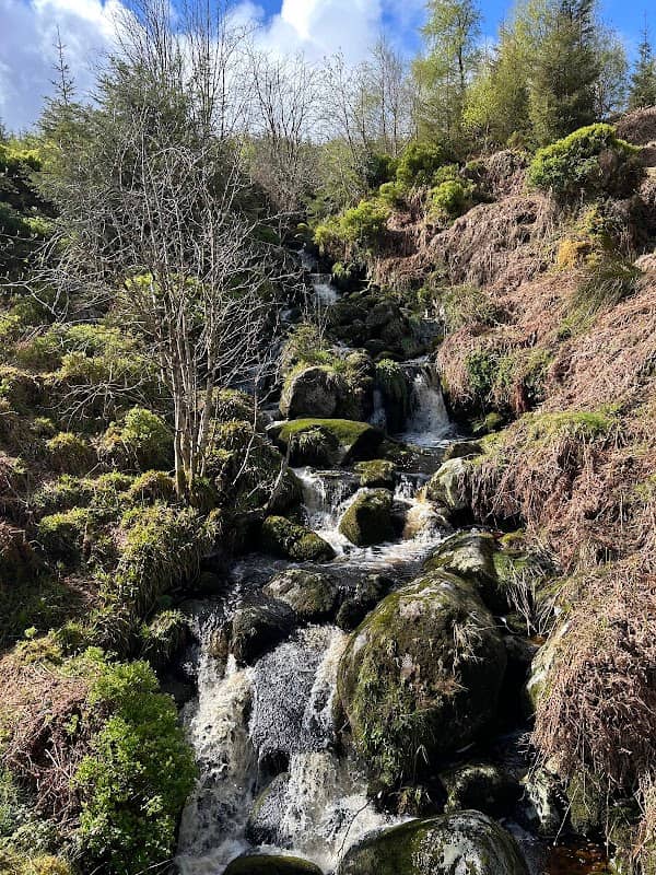 Glencree waterfall - Image 1