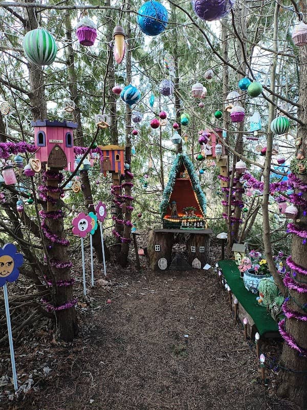 The Fairy Forest - Image 1