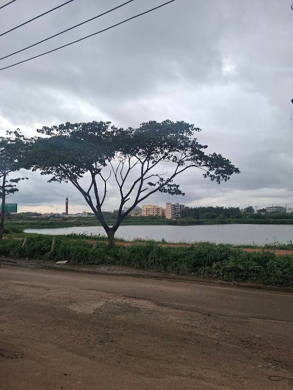 Chandapura lake - Image 2