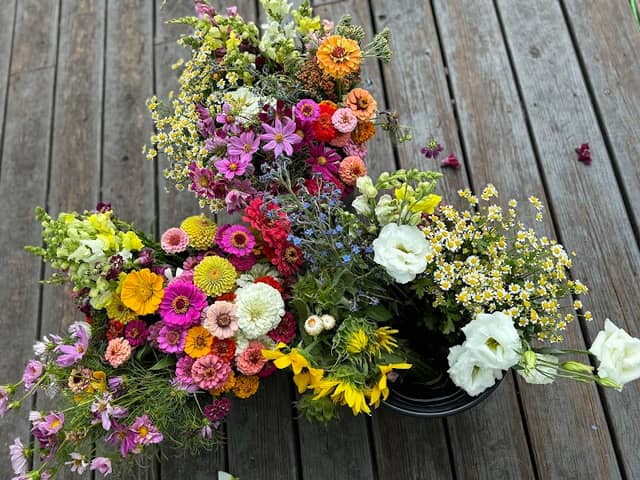 Runamuk Farms and Flowers - Image 2