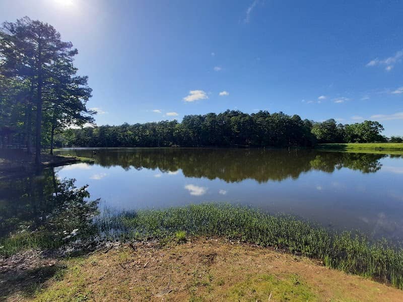 Truman Baker Lake Park - Image 2