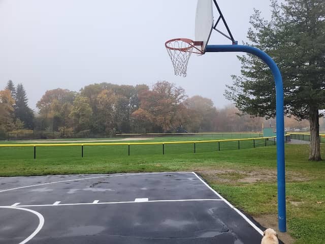 Finberg Park - Image 1