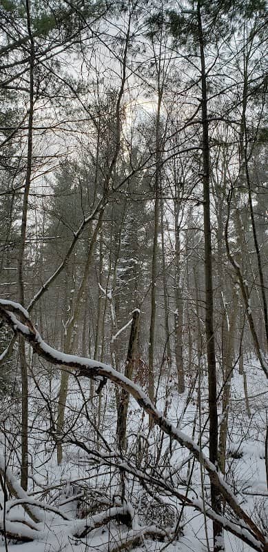 McCormick Point Peatland - Image 2