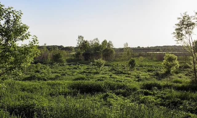 Lake Mills Wildlife Area - Zeloski Marsh - Image 2