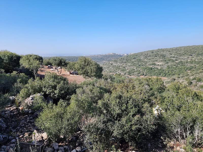 פינת חי - Image 1