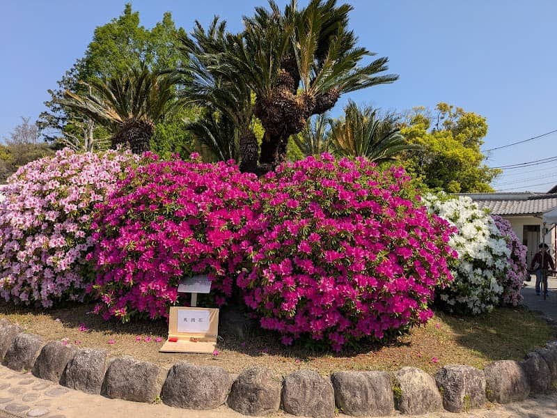 Asano Park - Image 1