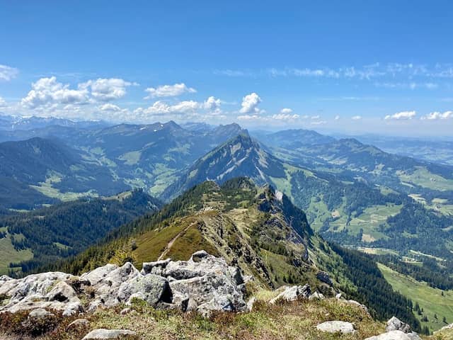 Risetestock - Image 1