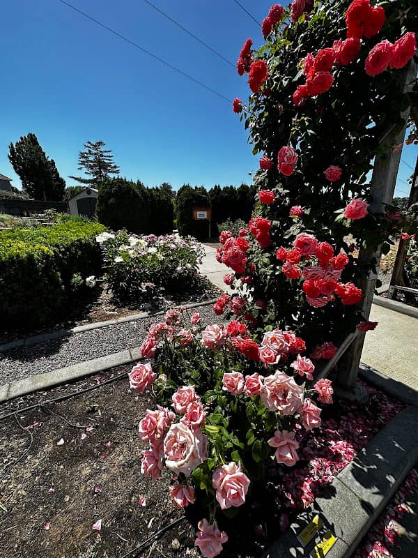 Highlands Grange Park - Image 3