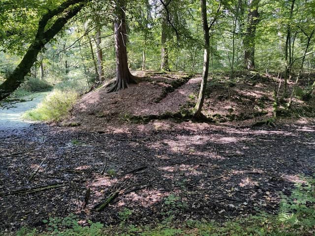 Wasserburg Wildshausen - Image 1
