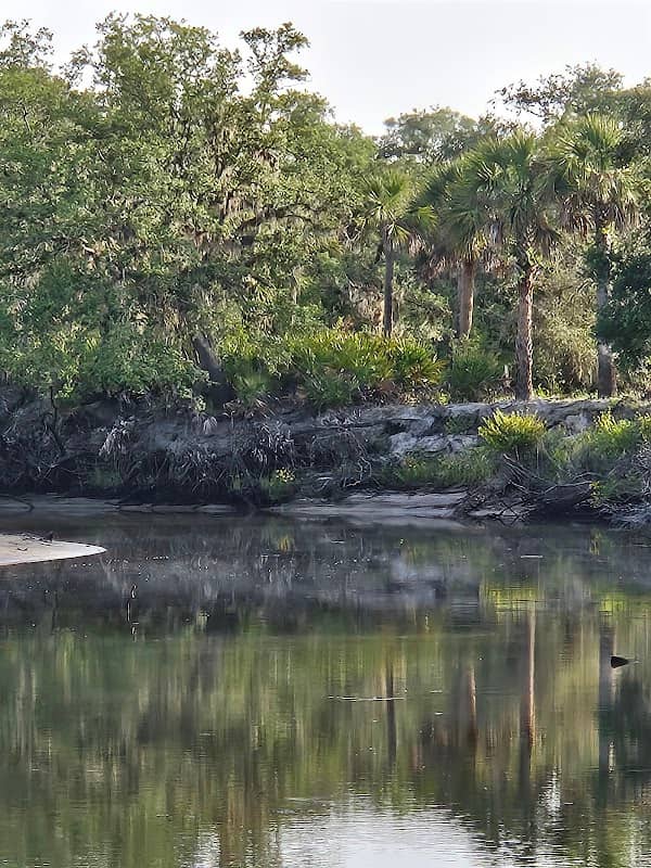 Venice Myakka River Park - Image 2