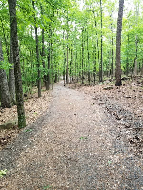 Josh Park Memorial Trail - Image 1