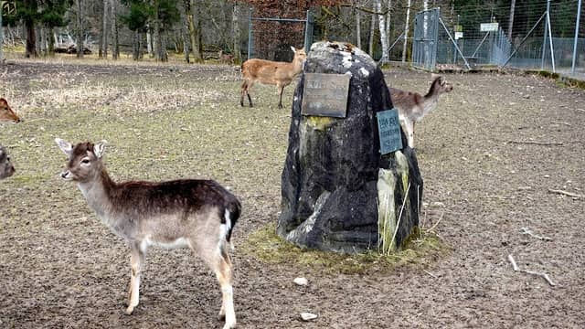 Widmungsstein Tierpark Waltenschwil - Image 1
