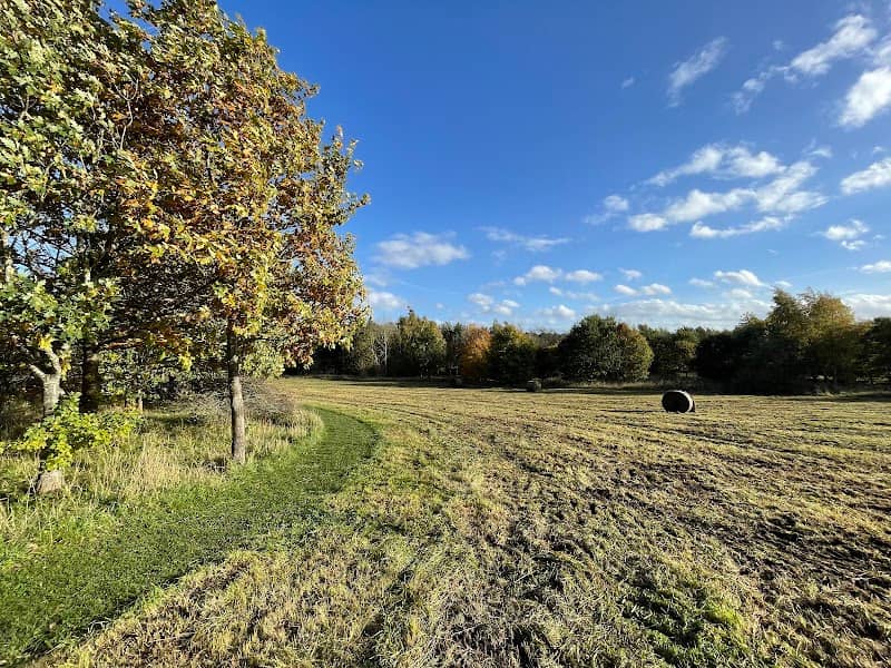 Honeypot Wood - Image 1