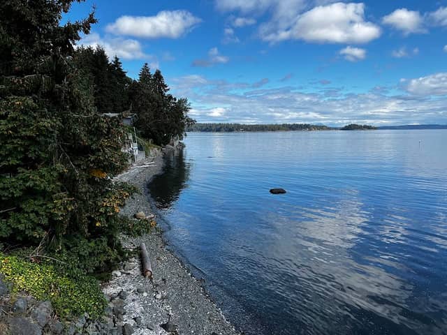 Davis Lagoon - Image 1