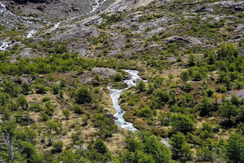 Lago del desierto - Image 2