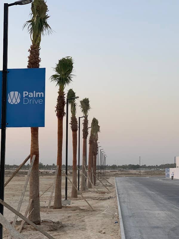 Palm Drive - Image 1