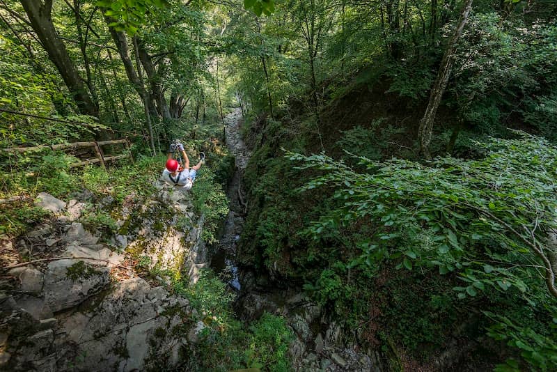 Jungle Raider Park Xtreme - Image 1