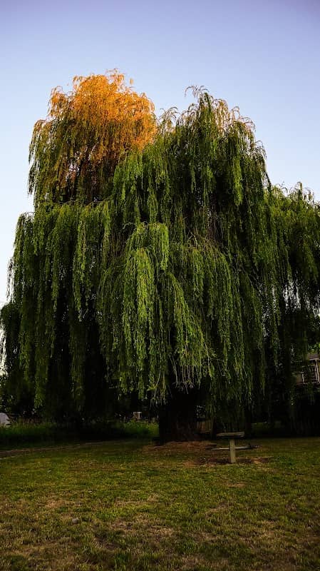 Hermanson Park - Image 2