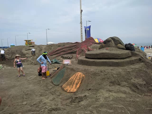 Playa Murciélago - Image 2