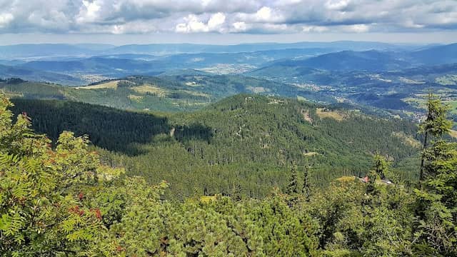 Las Suchowarski - Image 1