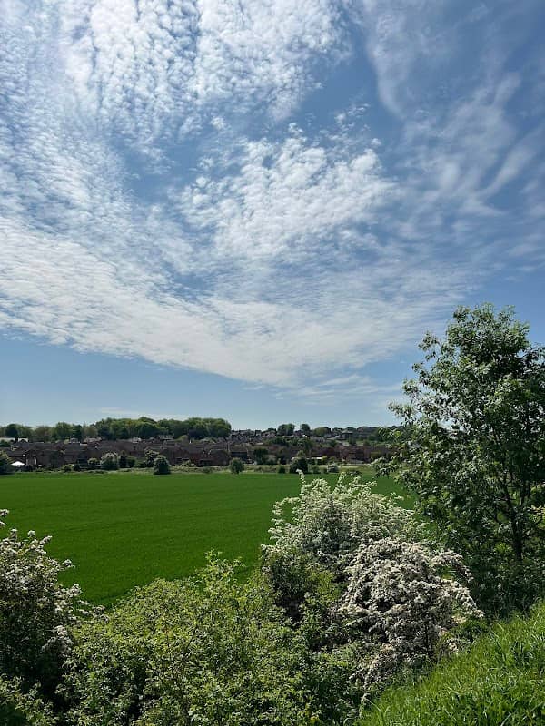 Railway Sidings - Wakefield Local Wildlife Site - Image 1