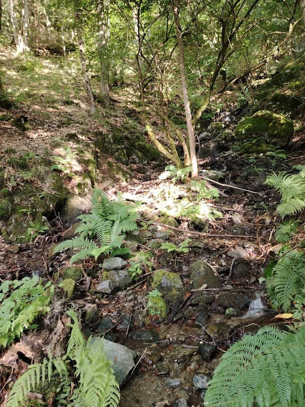 Sentieri - Image 1