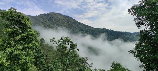Hornbill view point - Image 1