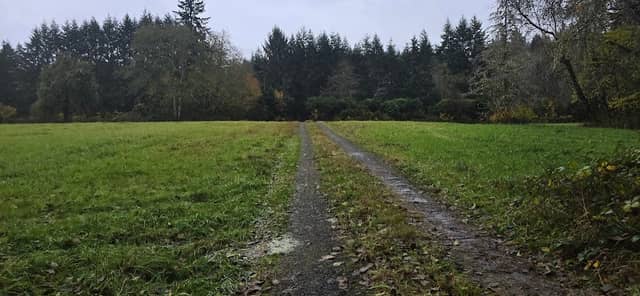 Olympic Wildlife Area - Olympic Unit - Image 1