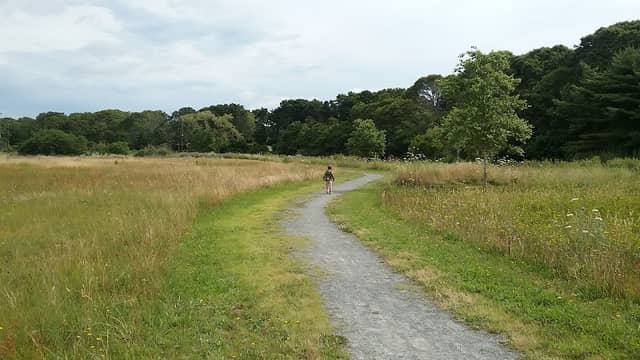 Sea View Park - Image 3