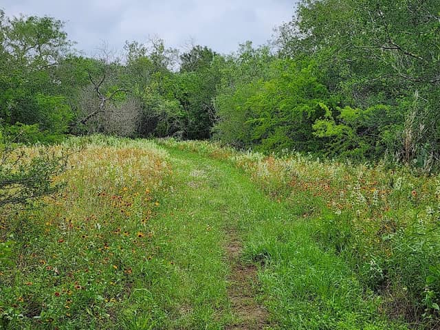 Jackson Nature Park - Image 1