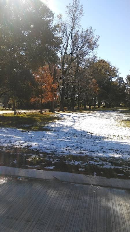 Lions Park - Image 2