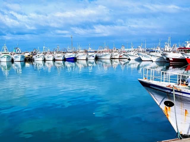 Molo Civitanova Marche - Image 2
