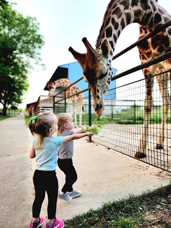 Wild Animal Safari - Springfield/Strafford, Missouri - Image 1