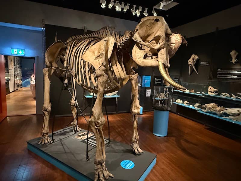Norwegian Children's Museum - Image 1