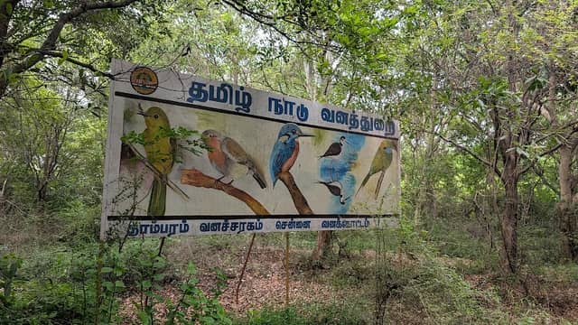 Tamilnadu Forest Department Interpretation Center - Image 2