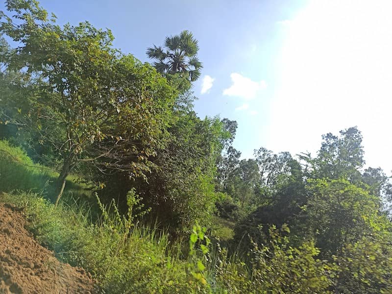 Tamilnadu Forest Department Interpretation Center - Image 1