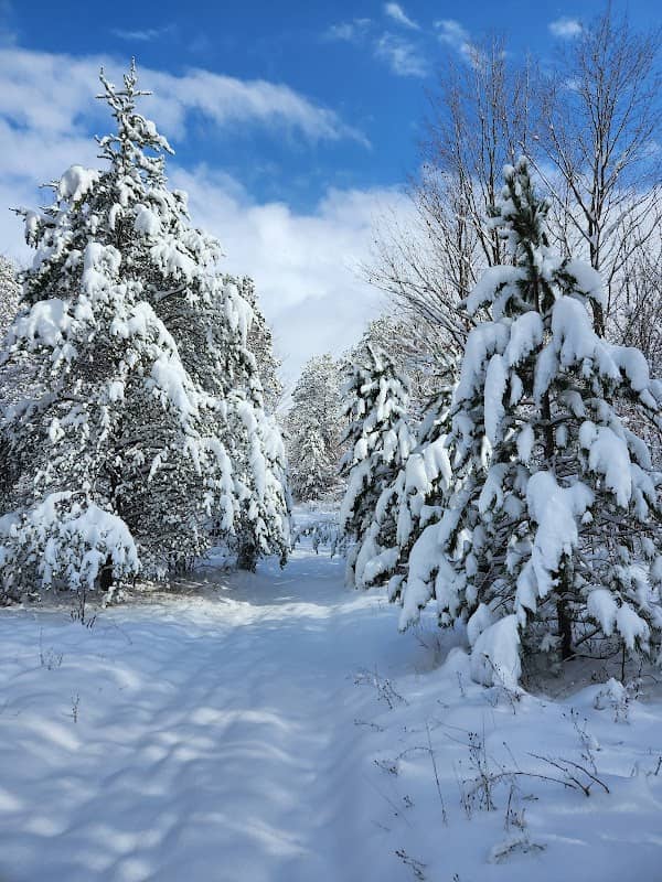 Cedar Run Creek Natural Area - Image 2