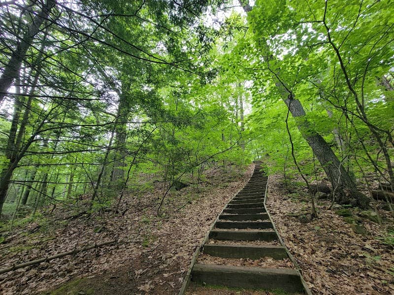 Highland Park - Image 1