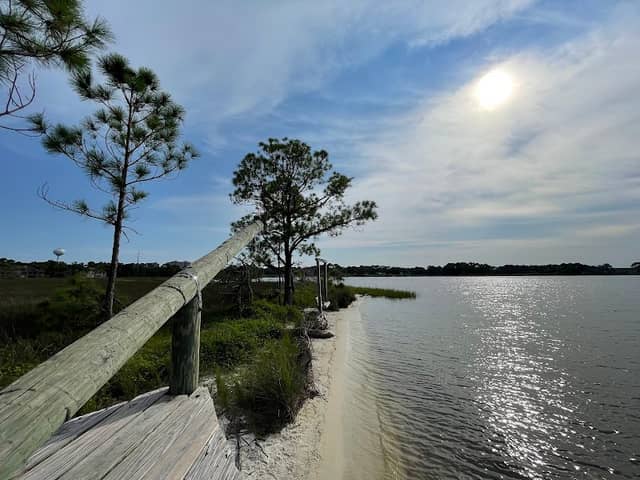 Jolee Island Nature Park - Image 2