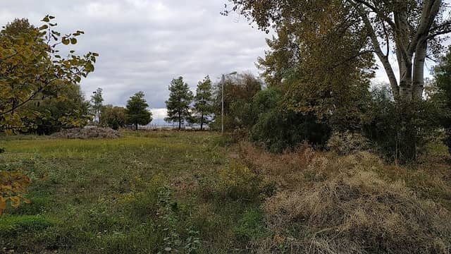 Πάρκο Αγίων Αναργύρων - Image 1