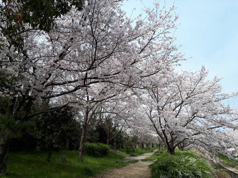Bouga River Park - Image 1