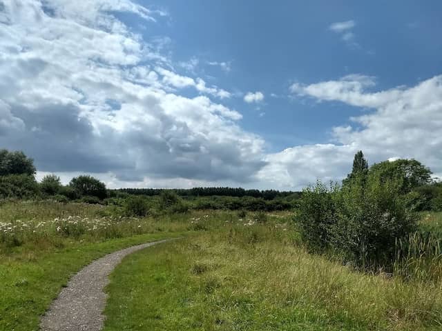 Wheatacre Woods - Image 2