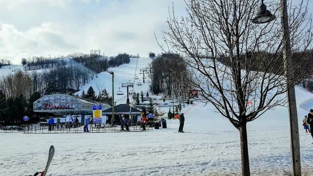 Blue Mountain Silver Bullet - Image 2