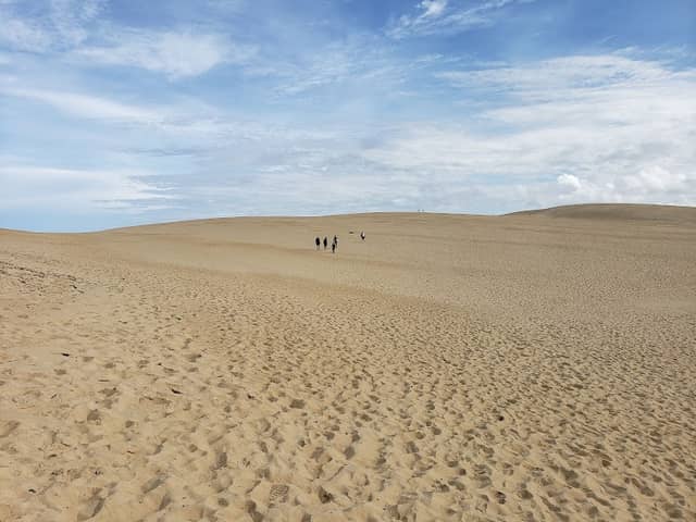 Jockey's Ridge State Park - Image 1