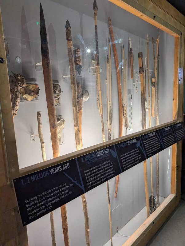 Museum of Prehistory - Image 2