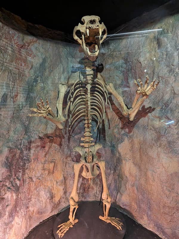 Museum of Prehistory - Image 1