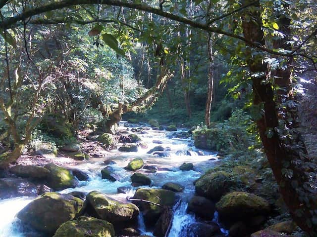 Shivapuri Nagarjun National Park - Image 1
