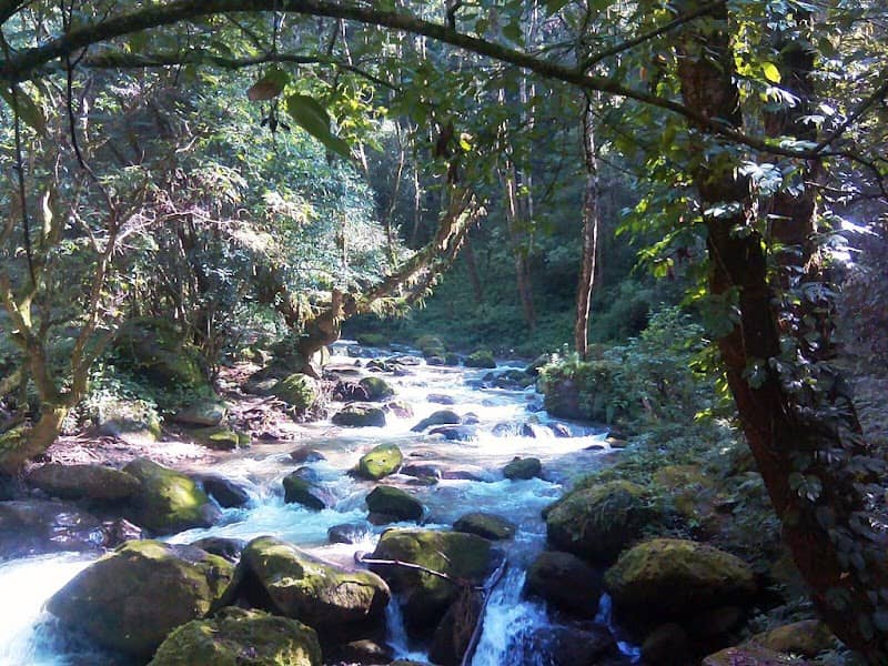 Shivapuri Nagarjun National Park - Image 1